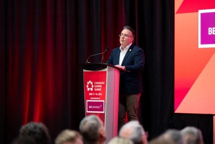 Alberta Government Expects $76M iGaming Payday in First Year, Nally Says